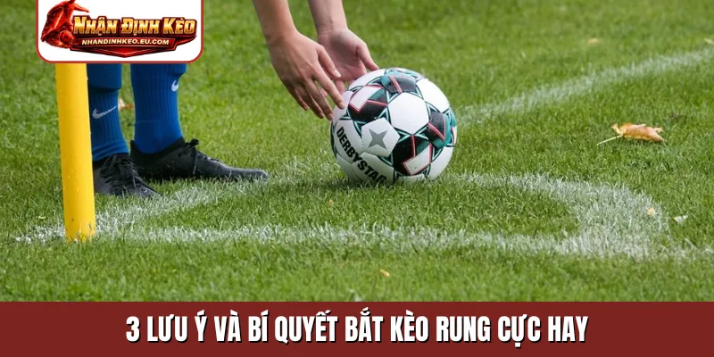 3 lưu ý và bí quyết bắt kèo rung cực hay