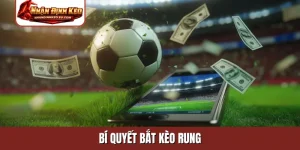 bí quyết bắt kèo rung