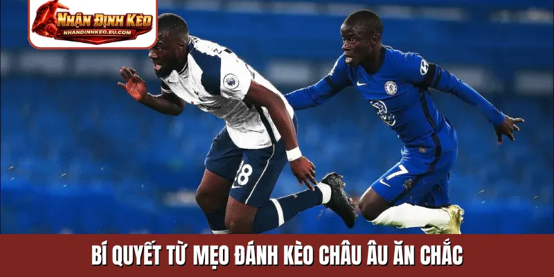 Bí quyết mẹo đánh kèo Châu Âu ăn chắc