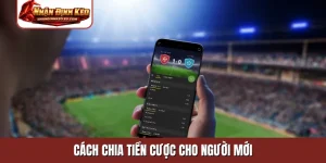 cách chia tiền cược cho người mới