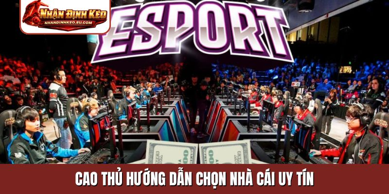 Cao thủ hướng dẫn chọn nhà cái uy tín