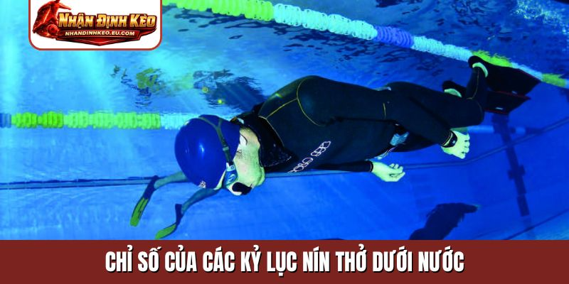 Chỉ số của các kỷ lục nín thở dưới nước