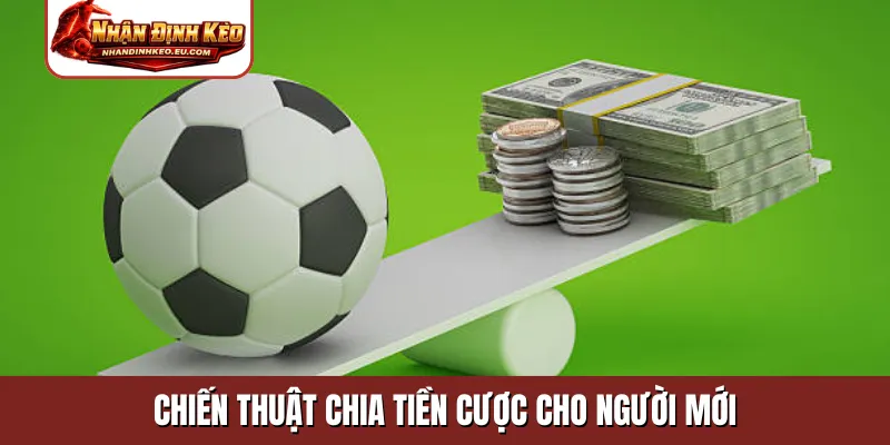 Chiến thuật chia tiền cược cho người mới
