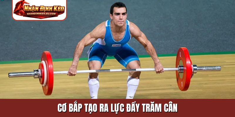 Cơ bắp tạo ra lực đẩy trăm cân