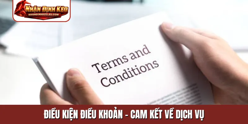 Điều kiện điều khoản - Cam kết về dịch vụ