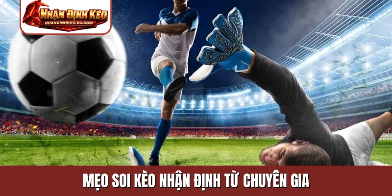 Mẹo soi kèo nhận định từ chuyên gia