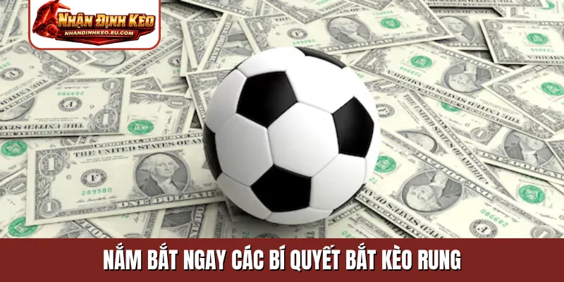 Nắm bắt ngay các bí quyết bắt kèo rung