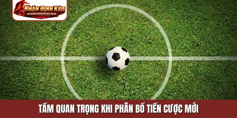 Tầm quan trọng khi phân bổ tiền cược mới