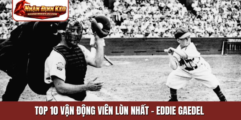Top 10 vận động viên lùn nhất - Cầu thủ bóng chày Eddie Gaedel