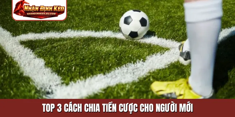 Top 3 cách chia tiền cược cho người mới