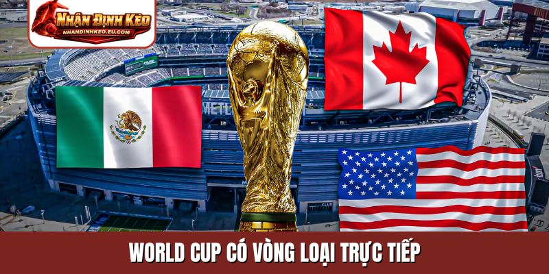 World Cup có vòng loại trực tiếp